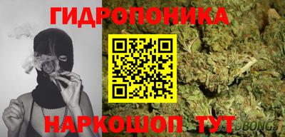 2c-b Новозыбков
