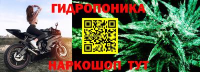 2c-b Новозыбков