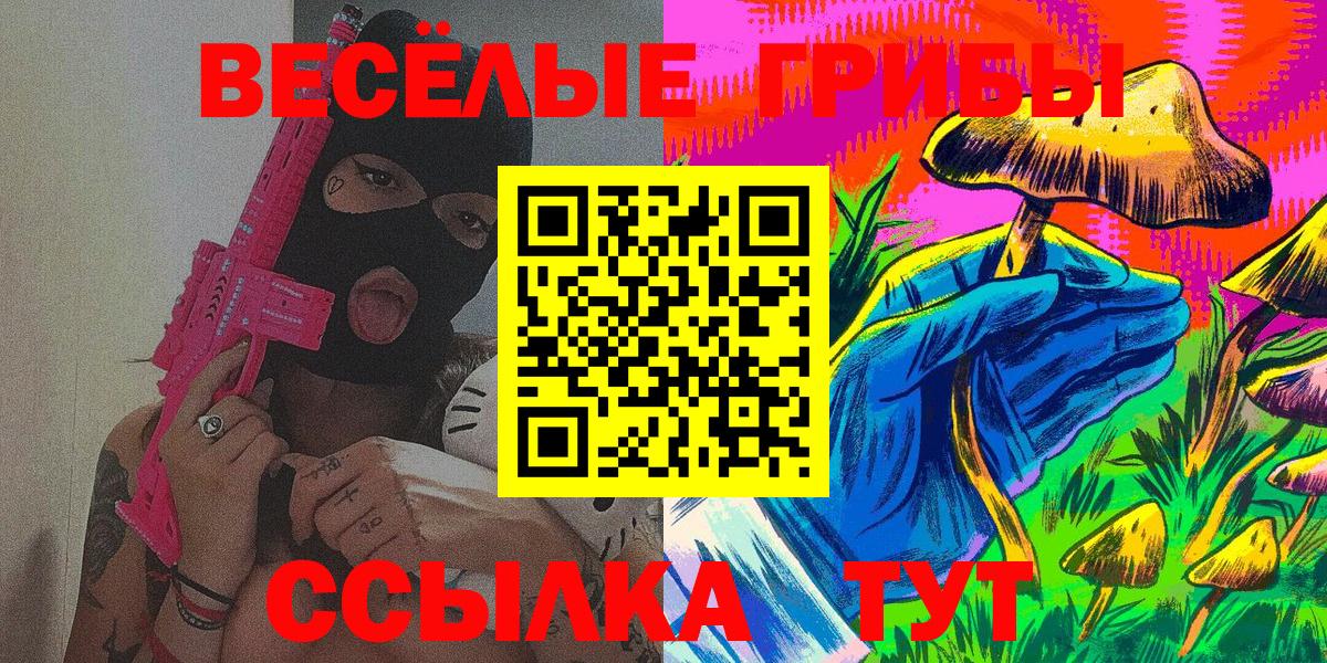 Псилоцибиновые грибы Cubensis  Вход с VPN  Пенза 